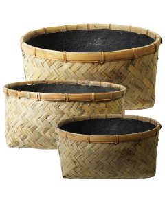 Kruka s/3 Bambu m fötter 48x20H cm