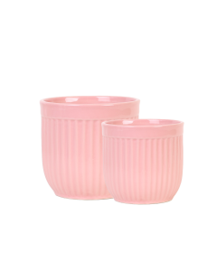 Kruka s/2 rosa ø15x15cmH